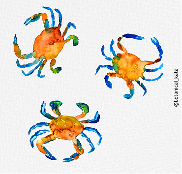Colorful blue crabs - 