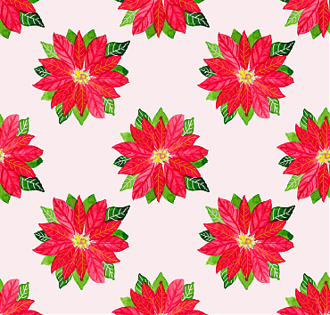 Watercolor poinsettia with light rose background BK22-A97 - Spot pattern with gold and white elements