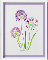 Giant onion /Allium giganteum/ -