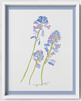 Spanish bluebell or wood hyacinth /Hyacinthoides hispanica/ 1. -