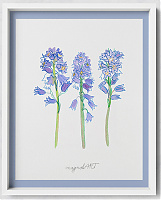 Spanish bluebell or wood hyacinth /Hyacinthoides hispanica/ 2. -