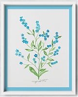 Wood forget-me-not /Myosotis sylvatica/ 1. -