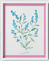 Wood forget-me-not /Myosotis sylvatica/ 2. -